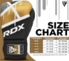 دستکش بوکس RDX Ego اسپارینگ 